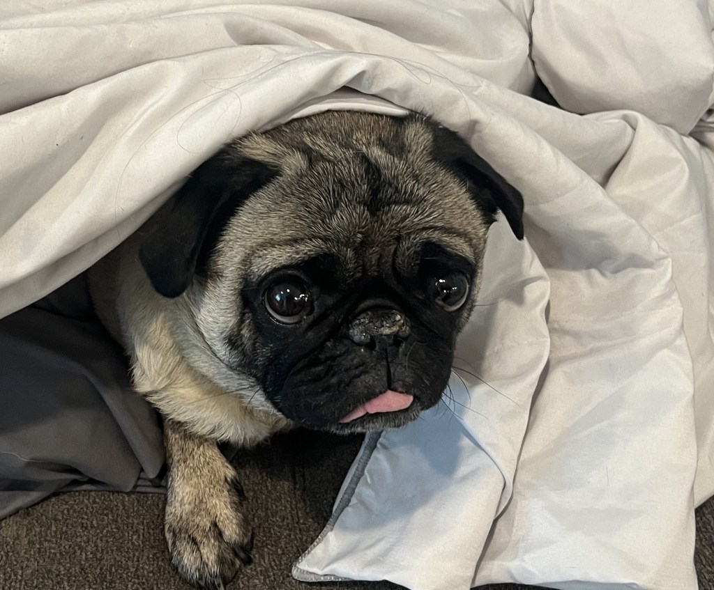 Things I Wish Hotels Knew About Neurodivergent&nbsp;Guests