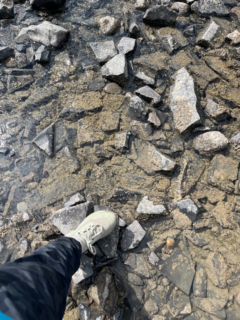 Standing in the water with my Vessi shoes. 