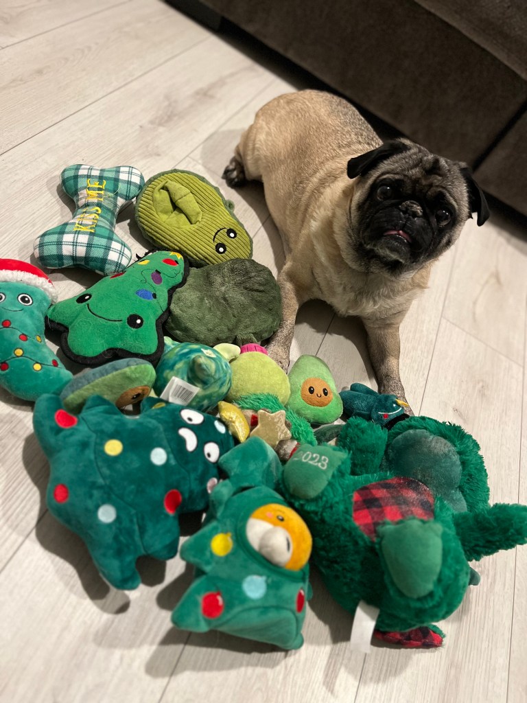 Bentley is lying down contentedly, surrounded by a pile of green toys like a tiny dragon guarding his hoard of green eggs.