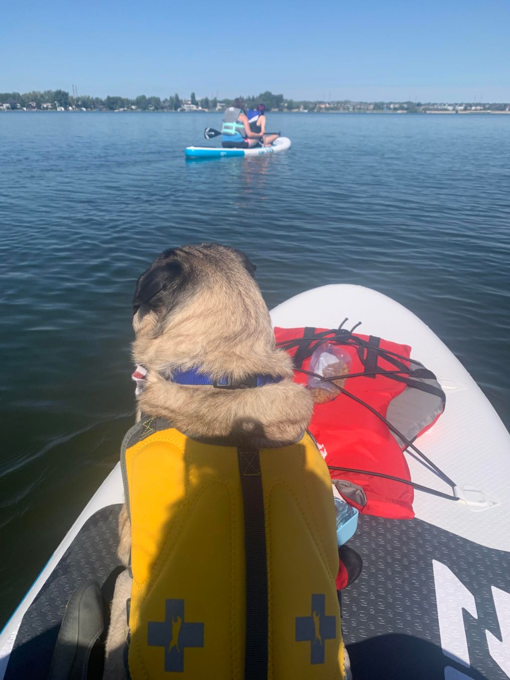 Paddle & Chill at Chestermere&nbsp;Lake