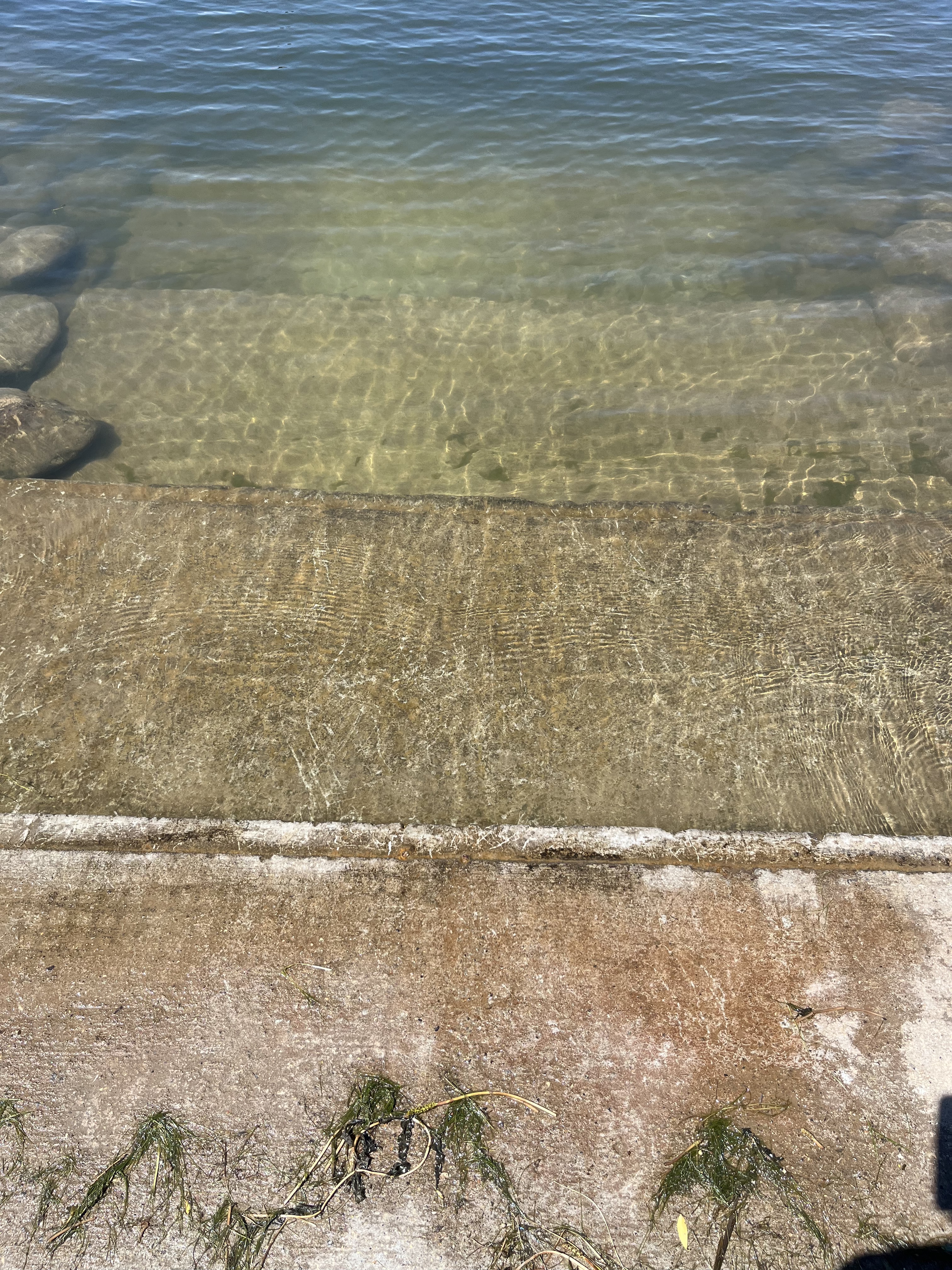 Four cement steps  submerged in water, with some rocks on the edge. 